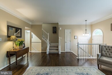 20340 Briarcliff Terrace, Sterling, VA 20165 - photo 4