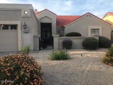 Aster front yard