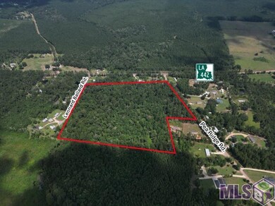TBD H-4 Pea Ridge Rd, Albany, LA 70711 - photo 4