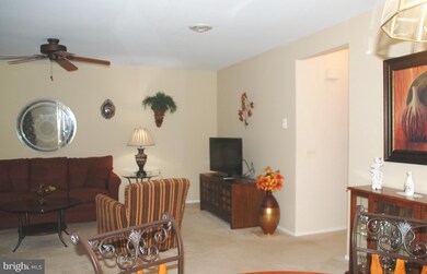 5782 Box Elder Ct, Frederick, MD 21703 - photo 5