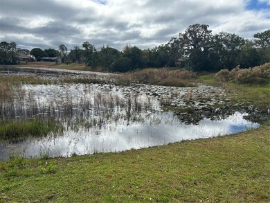 8346 Eric St, Spring Hill, FL 34608 - photo 5