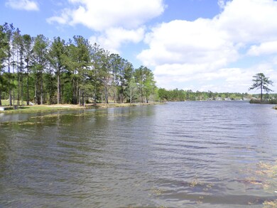 37 Inlet View, Barbecue, NC 27332 - photo 6