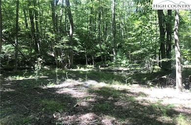 TBD Lot 28 Sonterra Dr, Lansing, NC 28643 - photo 3