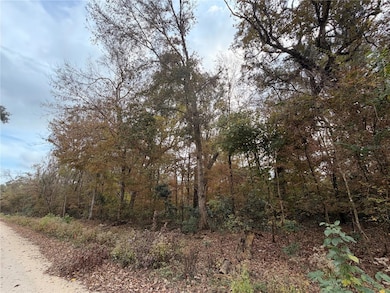 Lot 11 284th Terrace, Branford, FL 32008 - photo 7