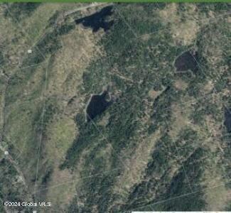 beaver ponds