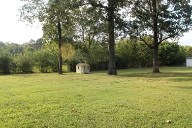 IMG_0447