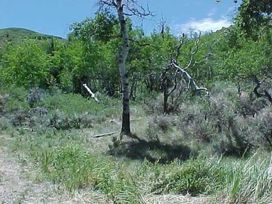 Land/Lot.