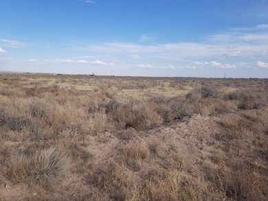 42 Viajero, Moriarty, NM 87035 - photo 3