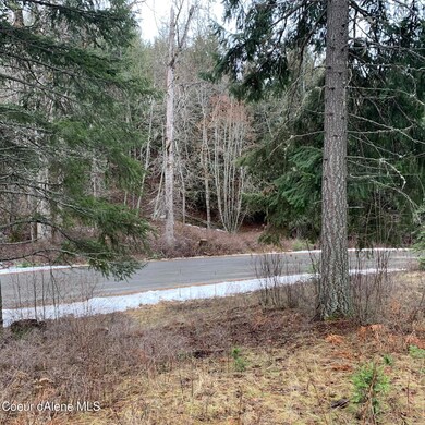 NNA F12 S Idaho Club Dr, Sandpoint, ID 83864 - photo 5