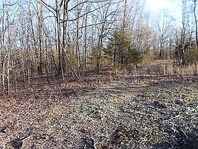 0 State Highway 248 unit 60105000, Jenkins, MO 65605 - photo 4