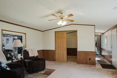 Carpeted living room with a wainscoted wall, woode