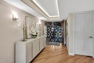 Custom Iron Double Security Doors