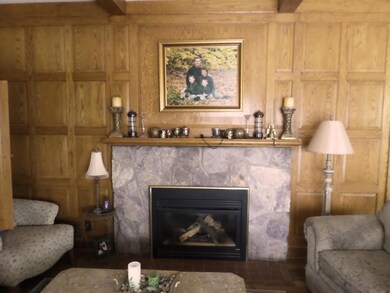 Fire Place