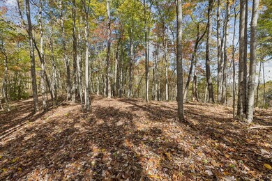 Tract 7 Sheep Ranch Rd, Robbins, TN 37852 - photo 4