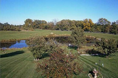 Yard/Garden.