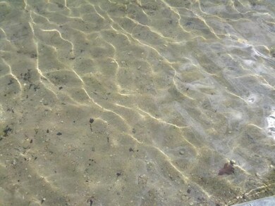 Pine Lake2