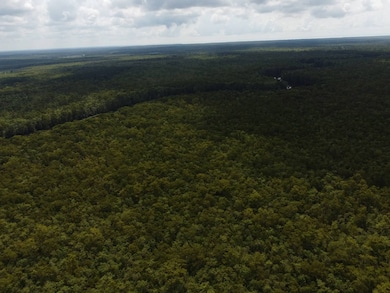 TBD Gunboat Landing Rd, Maurepas, LA 70449 - photo 6