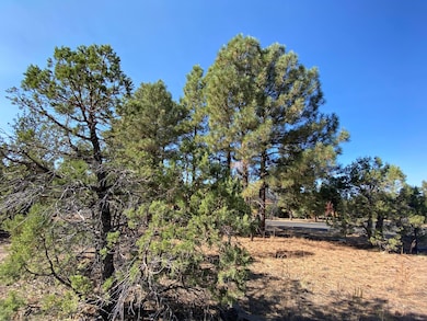 4610 W Hawthorn Rd, Show Low, AZ 85901 - photo 4