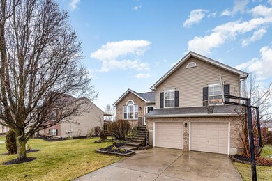 002_2479_apollo_ct01-edit