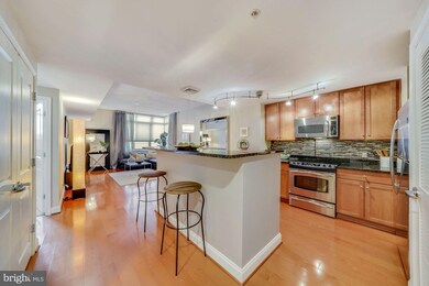 The Phoenix at Clarendon Metro unit 215, Arlington, VA 22201 - photo 6