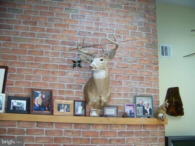 3795 Limeport Pike, Zionsville, PA 18092 - photo 7