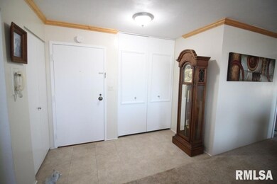 Summit Ridge Condominiums unit 6D, East Moline, IL 61244 - photo 7