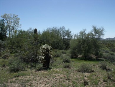 DSCF4963.JPG