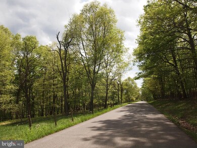 OFF RT. 8 Reeds Creek Rd, Franklin, WV 26807 - photo 6