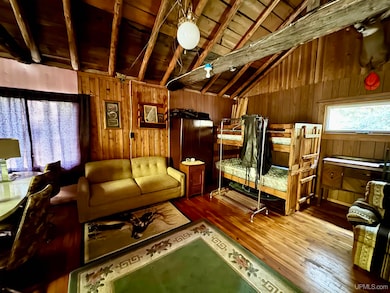 40 acres Bradley Rd, Crystal Falls, MI 49920 - photo 6