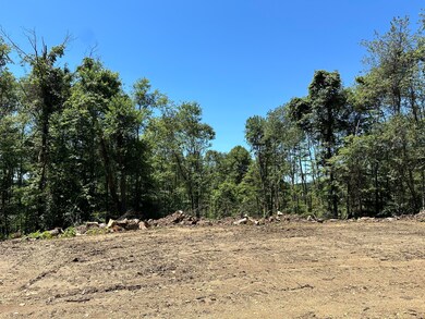 1253 Shawna Rd, Cherry Tree, PA 15724 - photo 5