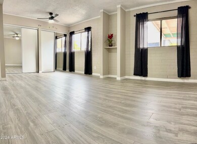 248 W Hillside St, Mesa, AZ 85201 - photo 4