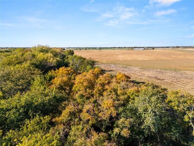 Lot 2 TBD 26+/- ac. New Windsor Pkwy, McGregor, TX 76657 - photo 7