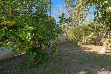 Backyard view of fruit trees