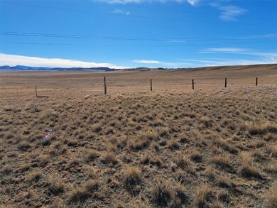 0 Tarryall St, Hartsel, CO 80449 - photo 6