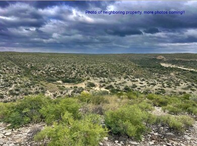 Tract 15-O Indian Creek Ranch, Dryden, TX 78851 - photo 6