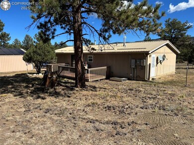 3549 County Road 265, Westcliffe, CO 81252 - photo 5