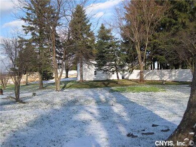 Yard/Garden