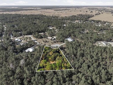 1811 County Road 243d, Wildwood, FL 34785 - photo 5