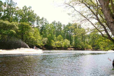 116 Lure Ct unit Homesite 5, Conway, SC 29526 - photo 6