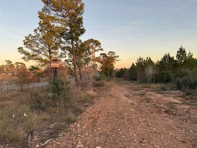 TBD State Highway 71, Bastrop, TX 78602 - photo 3