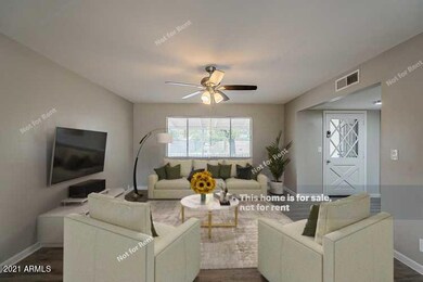 24365010-o9i1b7sRm2w