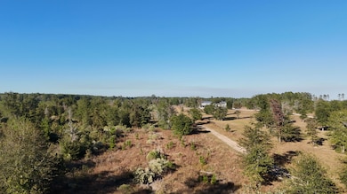 3711 Felix Currie Rd, Oakhurst, TX 77359 - photo 2