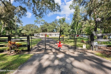 3283 Neff Lake Rd, Brooksville, FL 34602 - photo 6