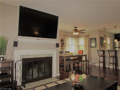 Wood Burning Fireplace Up