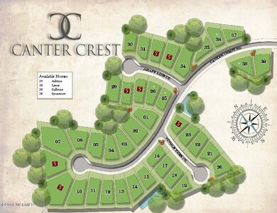 CNT map