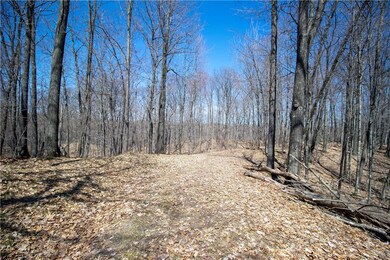 2437 2 Bear Rd, Weyerhaeuser, WI 54895 - photo 5