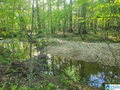 755 Pine Ridge Rd, Sylacauga, AL 35151 - photo 5