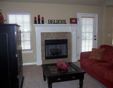 Other. Gas Log Fireplace