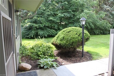 This area in the front is yours to plant and/or de