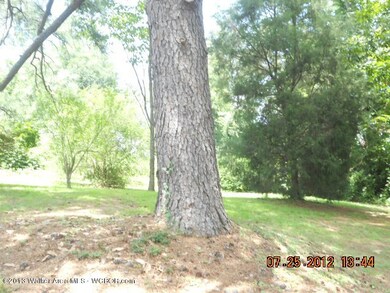 back yard view